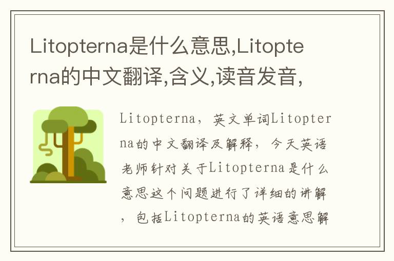 Litopterna是什么意思,Litopterna的中文翻译,含义,读音发音,用法,造句,参考例句