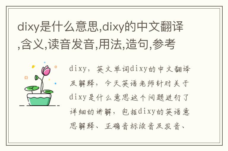 dixy是什么意思,dixy的中文翻译,含义,读音发音,用法,造句,参考例句