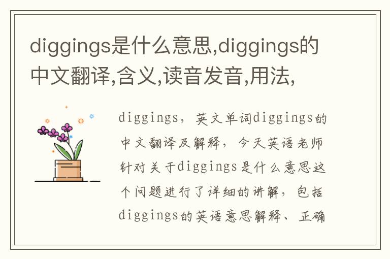 diggings是什么意思,diggings的中文翻译,含义,读音发音,用法,造句,参考例句