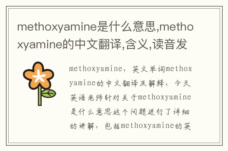 methoxyamine是什么意思,methoxyamine的中文翻译,含义,读音发音,用法,造句,参考例句