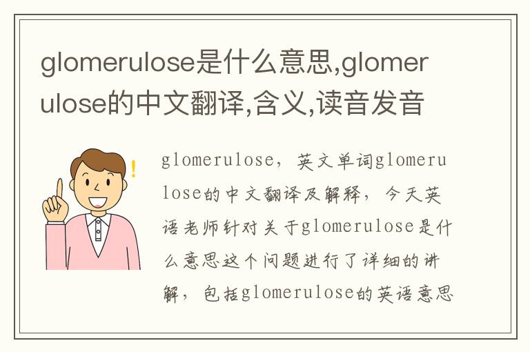 glomerulose是什么意思,glomerulose的中文翻译,含义,读音发音,用法,造句,参考例句