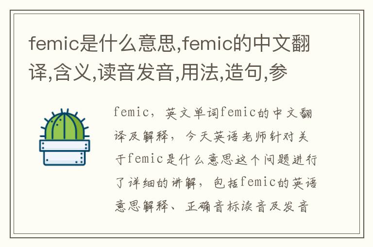 femic是什么意思,femic的中文翻译,含义,读音发音,用法,造句,参考例句