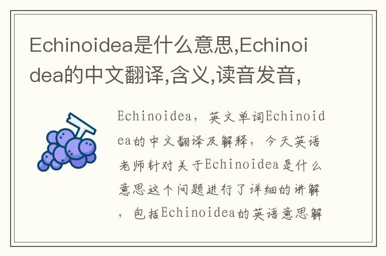 Echinoidea是什么意思,Echinoidea的中文翻译,含义,读音发音,用法,造句,参考例句