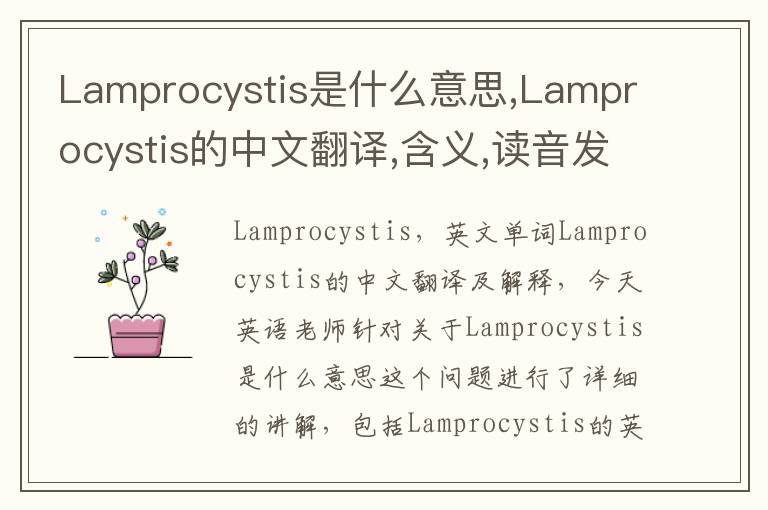 Lamprocystis是什么意思,Lamprocystis的中文翻译,含义,读音发音,用法,造句,参考例句