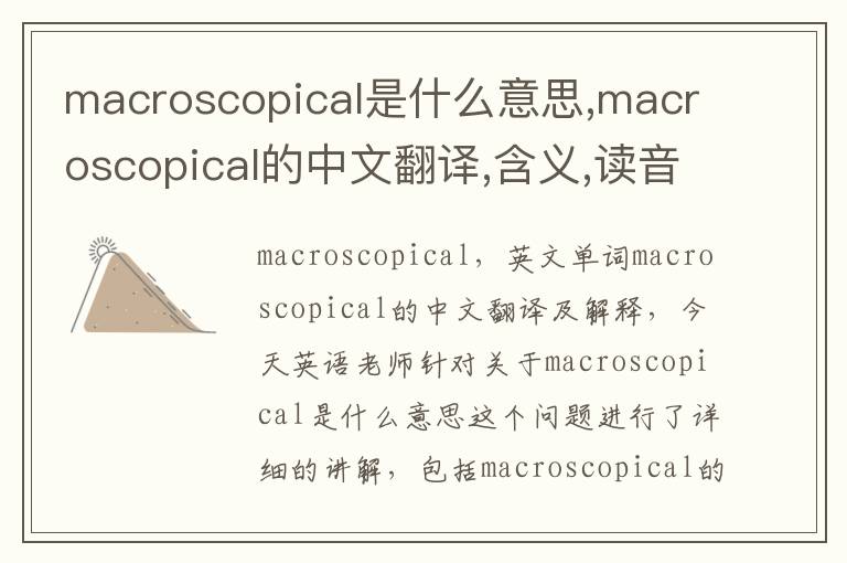 macroscopical是什么意思,macroscopical的中文翻译,含义,读音发音,用法,造句,参考例句