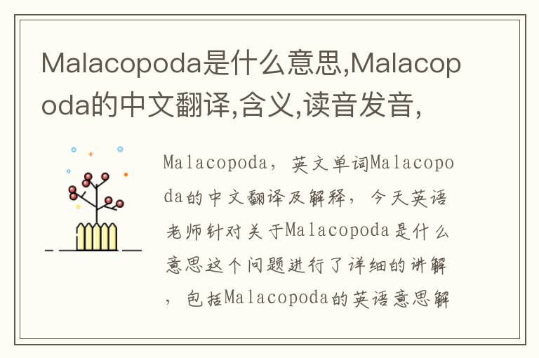 Malacopoda是什么意思,Malacopoda的中文翻译,含义,读音发音,用法,造句,参考例句