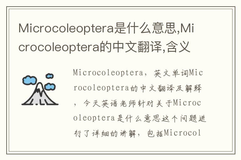 Microcoleoptera是什么意思,Microcoleoptera的中文翻译,含义,读音发音,用法,造句,参考例句