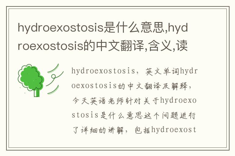 hydroexostosis是什么意思,hydroexostosis的中文翻译,含义,读音发音,用法,造句,参考例句