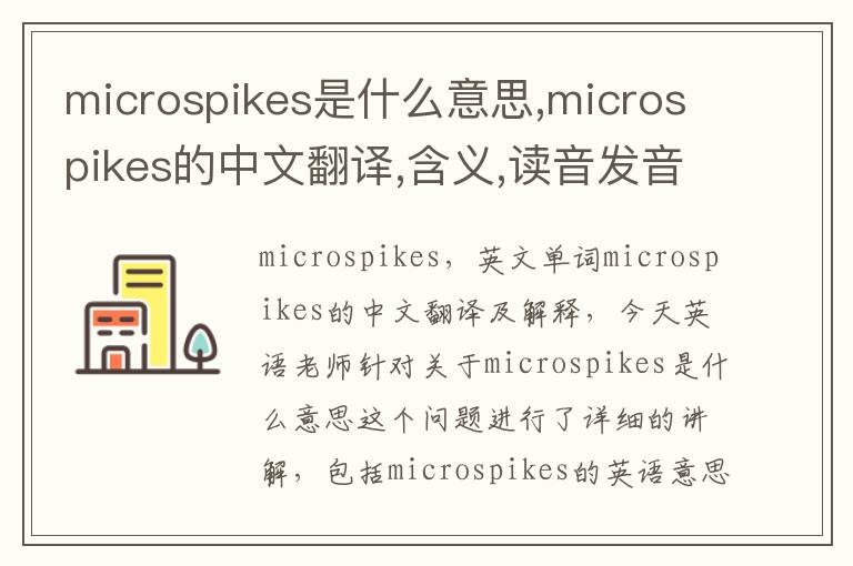 microspikes是什么意思,microspikes的中文翻译,含义,读音发音,用法,造句,参考例句