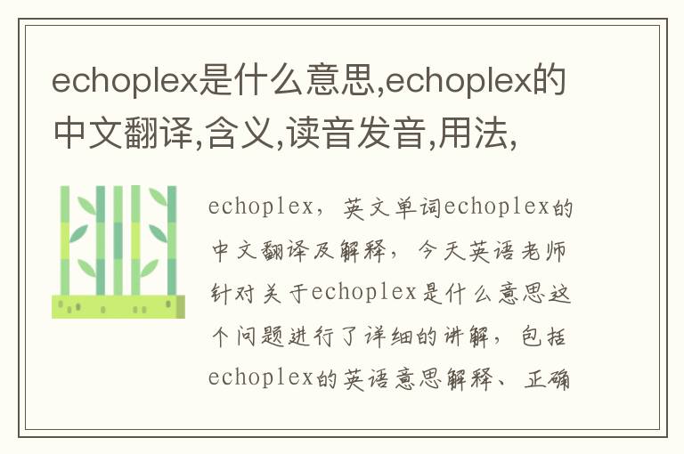 echoplex是什么意思,echoplex的中文翻译,含义,读音发音,用法,造句,参考例句