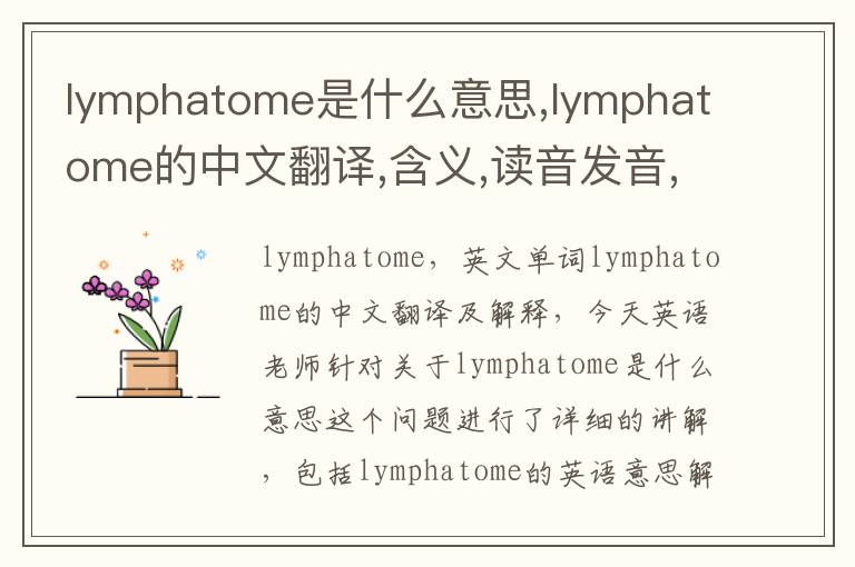 lymphatome是什么意思,lymphatome的中文翻译,含义,读音发音,用法,造句,参考例句