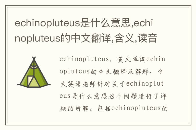 echinopluteus是什么意思,echinopluteus的中文翻译,含义,读音发音,用法,造句,参考例句