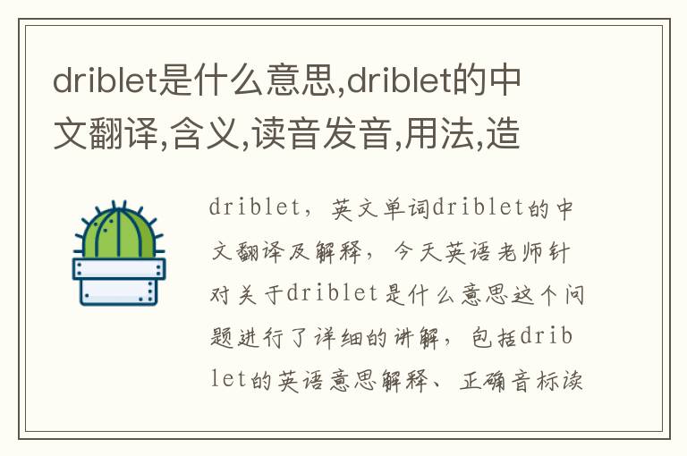 driblet是什么意思,driblet的中文翻译,含义,读音发音,用法,造句,参考例句