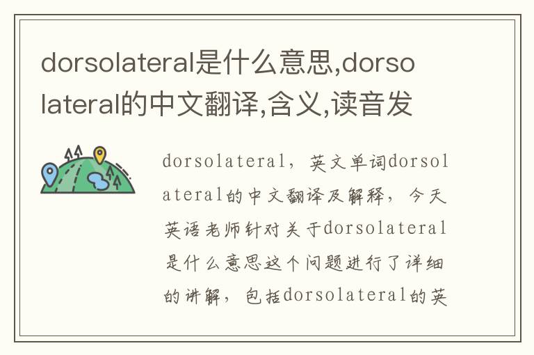 dorsolateral是什么意思,dorsolateral的中文翻译,含义,读音发音,用法,造句,参考例句