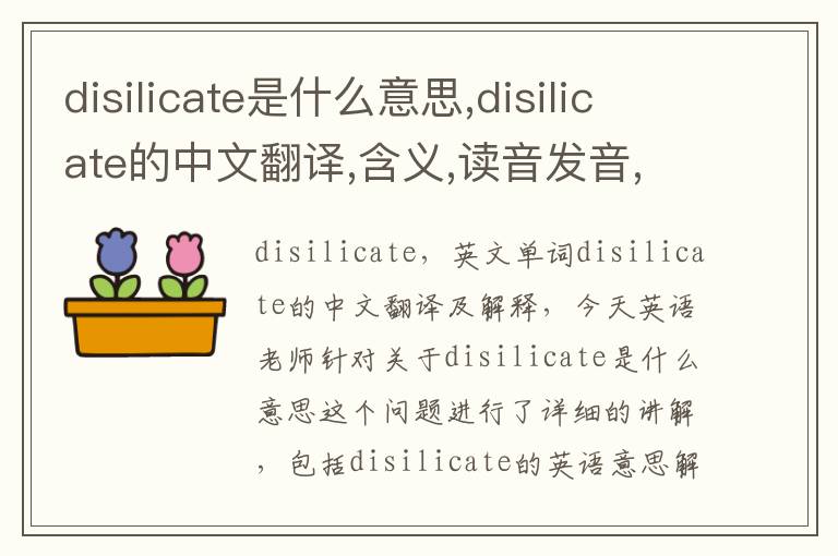 disilicate是什么意思,disilicate的中文翻译,含义,读音发音,用法,造句,参考例句