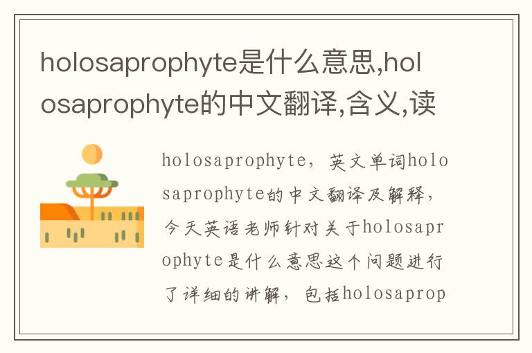 holosaprophyte是什么意思,holosaprophyte的中文翻译,含义,读音发音,用法,造句,参考例句