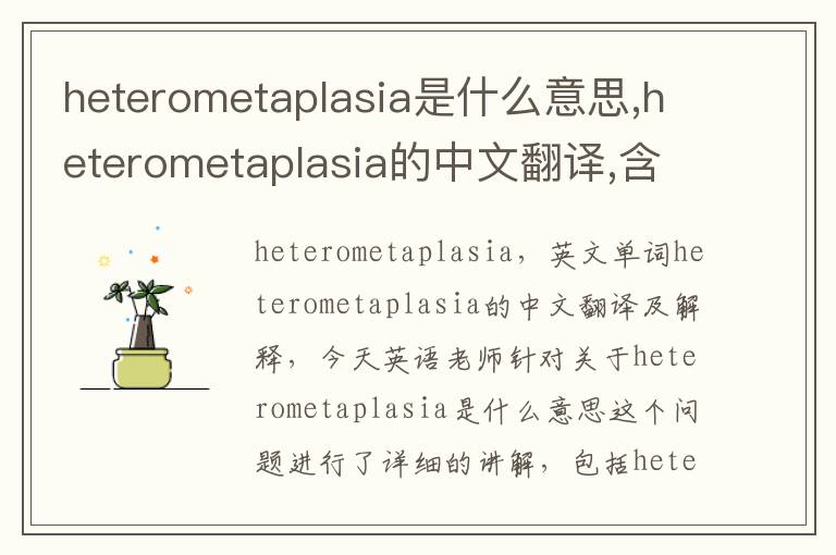 heterometaplasia是什么意思,heterometaplasia的中文翻译,含义,读音发音,用法,造句,参考例句