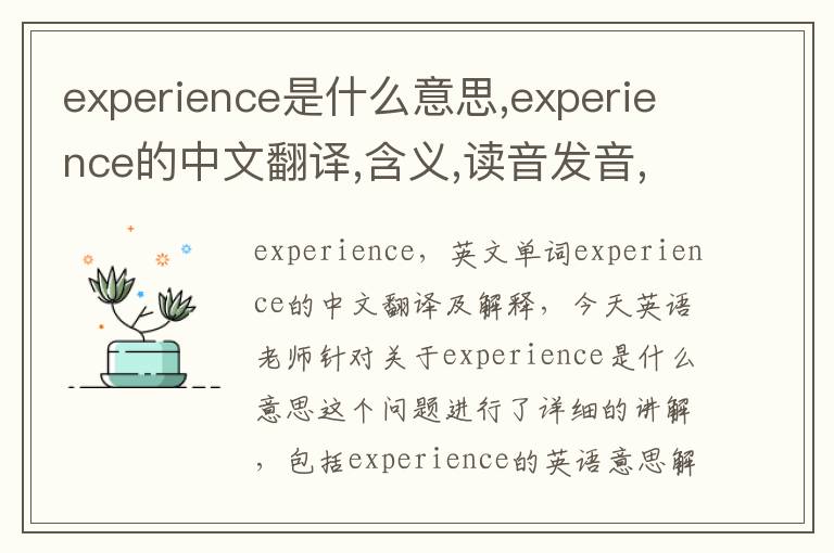 experience是什么意思,experience的中文翻译,含义,读音发音,用法,造句,参考例句