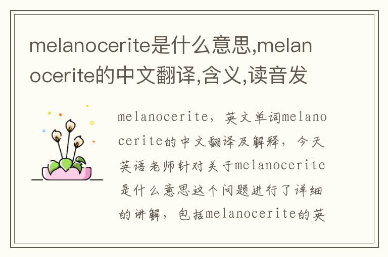 melanocerite是什么意思,melanocerite的中文翻译,含义,读音发音,用法,造句,参考例句