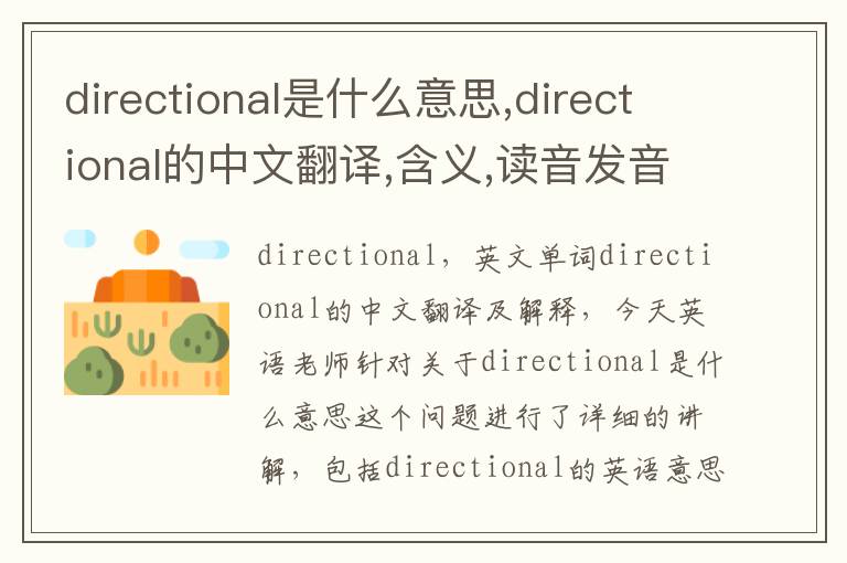 directional是什么意思,directional的中文翻译,含义,读音发音,用法,造句,参考例句