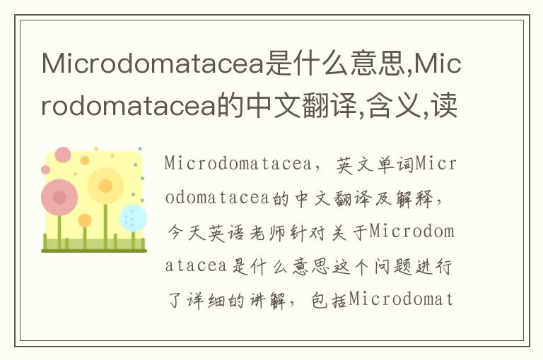 Microdomatacea是什么意思,Microdomatacea的中文翻译,含义,读音发音,用法,造句,参考例句