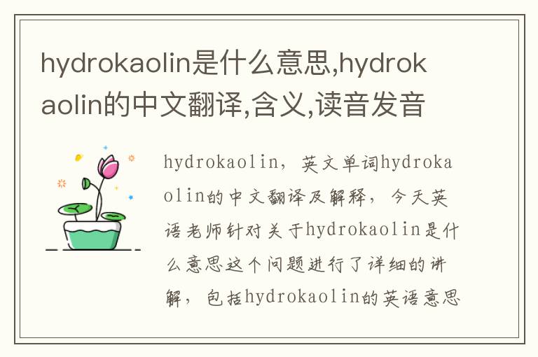 hydrokaolin是什么意思,hydrokaolin的中文翻译,含义,读音发音,用法,造句,参考例句