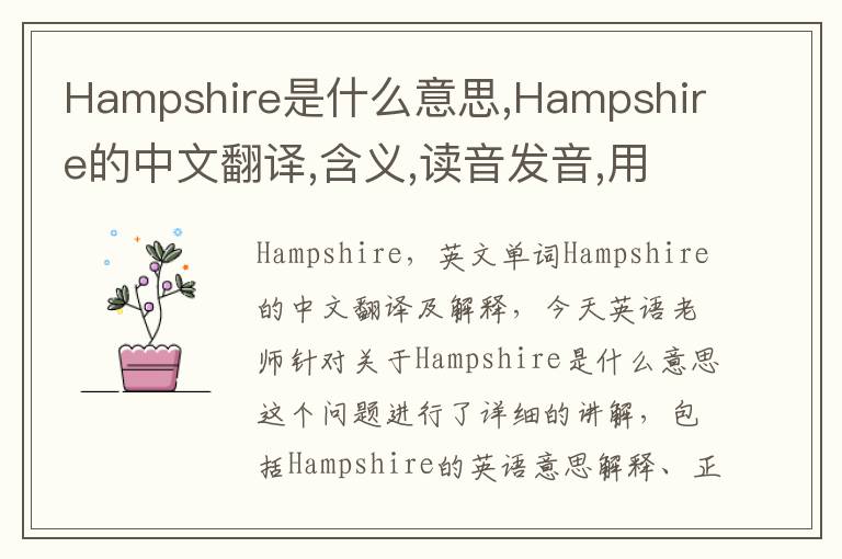 Hampshire是什么意思,Hampshire的中文翻译,含义,读音发音,用法,造句,参考例句