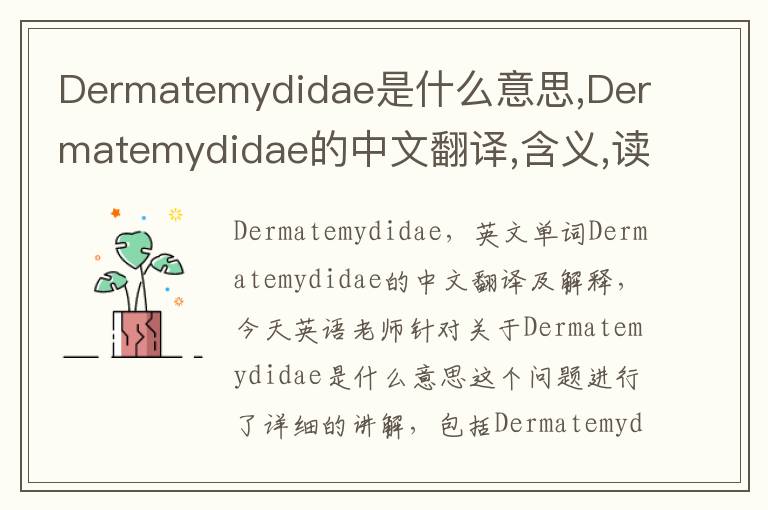 Dermatemydidae是什么意思,Dermatemydidae的中文翻译,含义,读音发音,用法,造句,参考例句