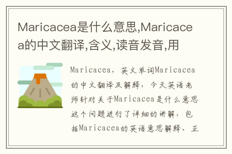 Maricacea是什么意思,Maricacea的中文翻译,含义,读音发音,用法,造句,参考例句