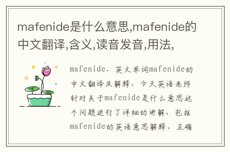 mafenide是什么意思,mafenide的中文翻译,含义,读音发音,用法,造句,参考例句