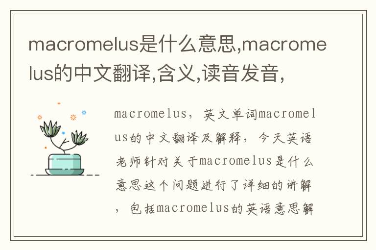 macromelus是什么意思,macromelus的中文翻译,含义,读音发音,用法,造句,参考例句