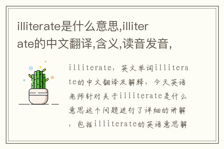 illiterate是什么意思,illiterate的中文翻译,含义,读音发音,用法,造句,参考例句