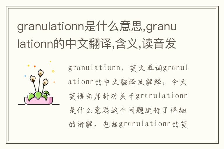 granulationn是什么意思,granulationn的中文翻译,含义,读音发音,用法,造句,参考例句