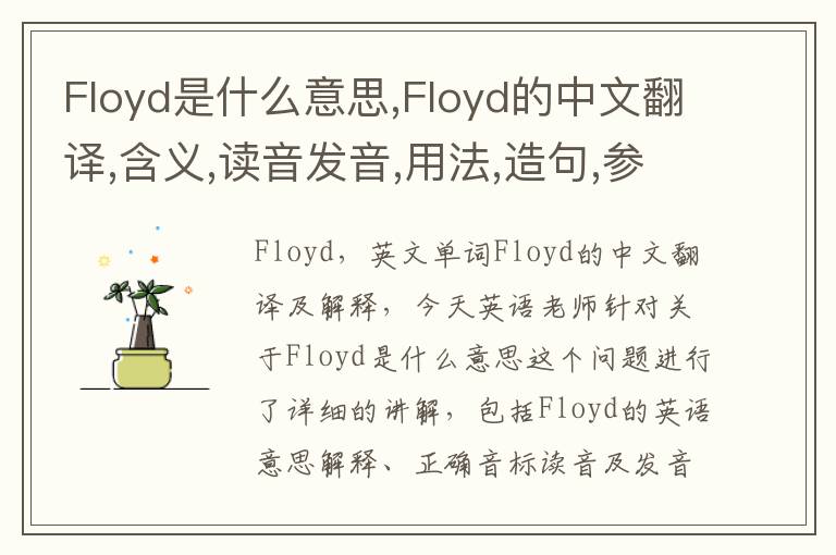 Floyd是什么意思,Floyd的中文翻译,含义,读音发音,用法,造句,参考例句