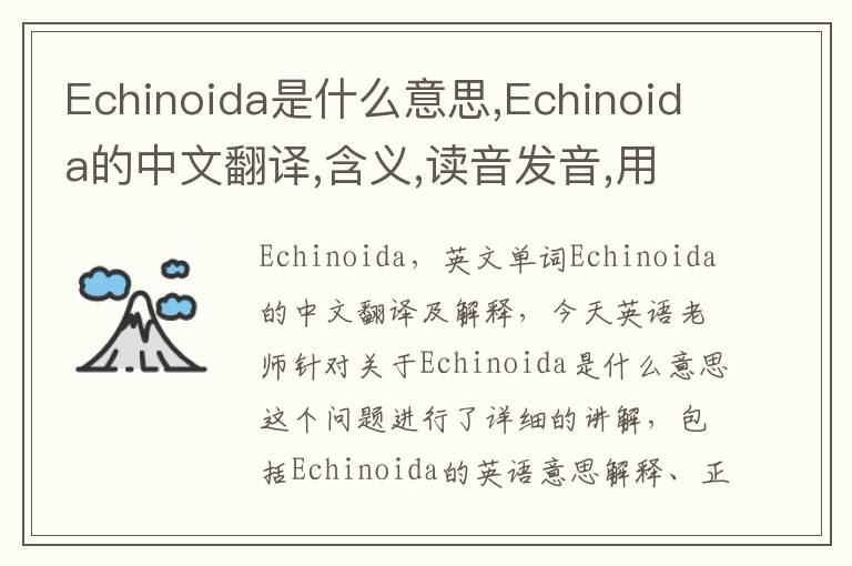 Echinoida是什么意思,Echinoida的中文翻译,含义,读音发音,用法,造句,参考例句