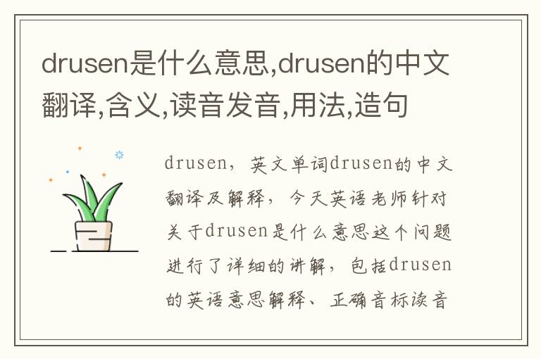 drusen是什么意思,drusen的中文翻译,含义,读音发音,用法,造句,参考例句