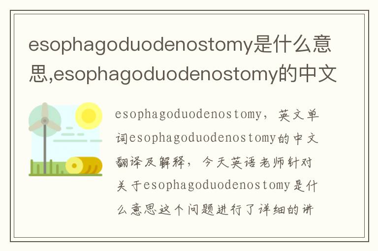 esophagoduodenostomy是什么意思,esophagoduodenostomy的中文翻译,含义,读音发音,用法,造句,参考例句