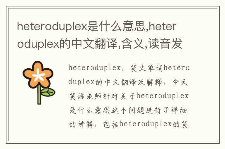 heteroduplex是什么意思,heteroduplex的中文翻译,含义,读音发音,用法,造句,参考例句