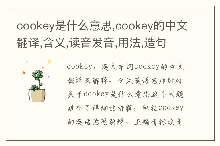 cookey是什么意思,cookey的中文翻译,含义,读音发音,用法,造句,参考例句