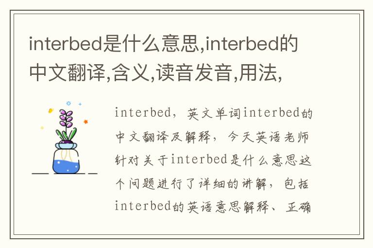 interbed是什么意思,interbed的中文翻译,含义,读音发音,用法,造句,参考例句