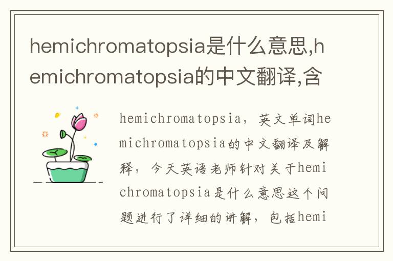 hemichromatopsia是什么意思,hemichromatopsia的中文翻译,含义,读音发音,用法,造句,参考例句