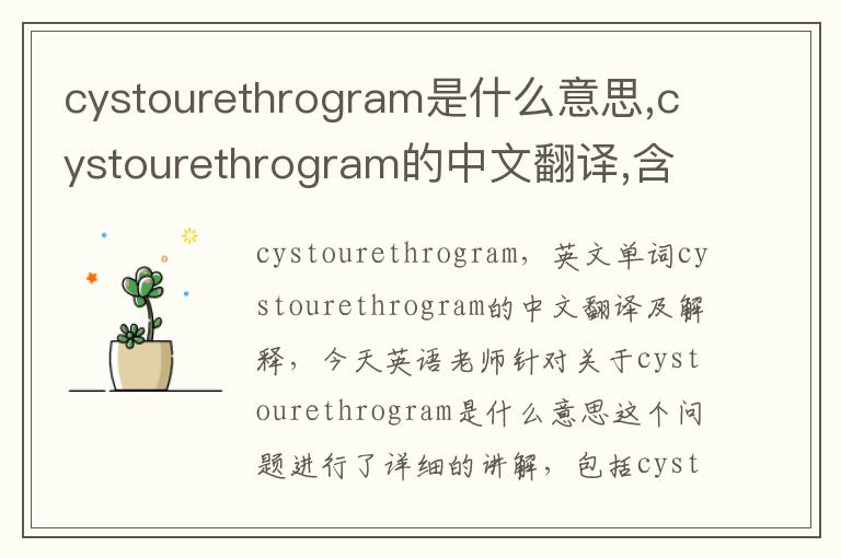 cystourethrogram是什么意思,cystourethrogram的中文翻译,含义,读音发音,用法,造句,参考例句