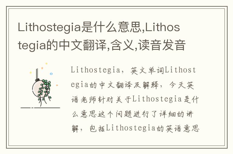 Lithostegia是什么意思,Lithostegia的中文翻译,含义,读音发音,用法,造句,参考例句