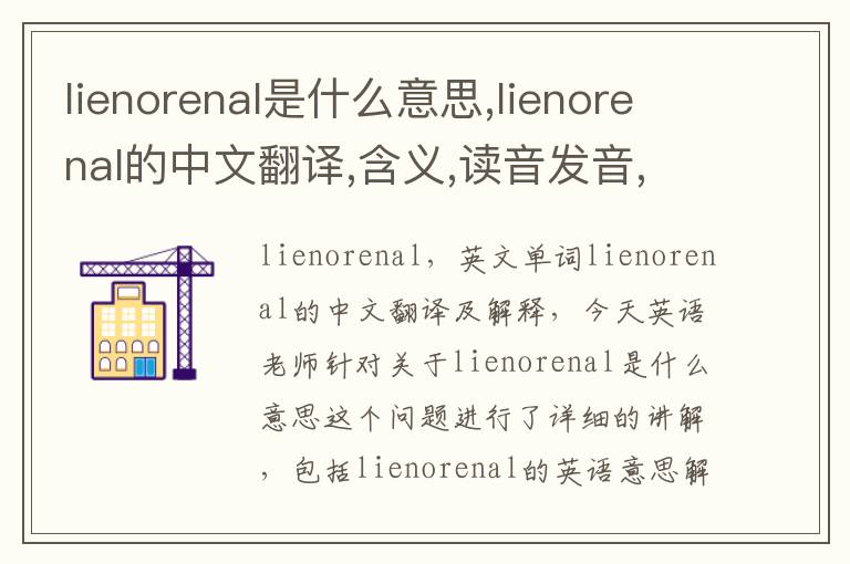 lienorenal是什么意思,lienorenal的中文翻译,含义,读音发音,用法,造句,参考例句