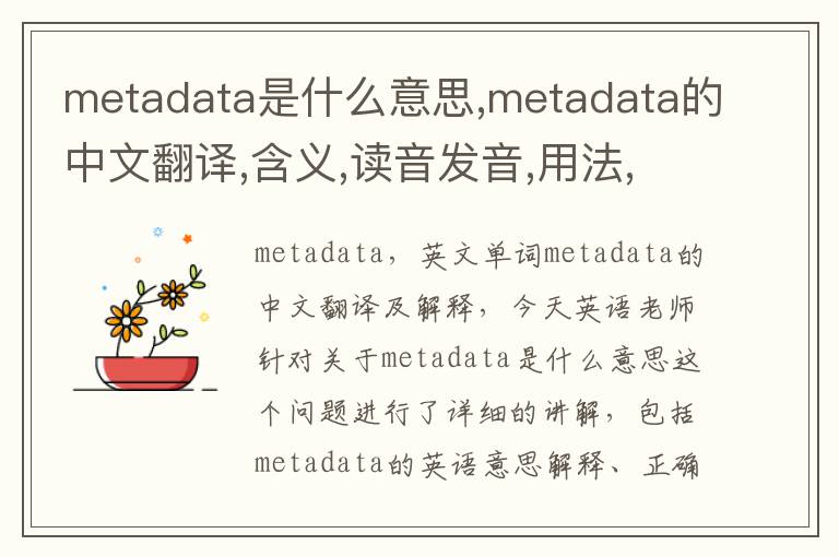 metadata是什么意思,metadata的中文翻译,含义,读音发音,用法,造句,参考例句