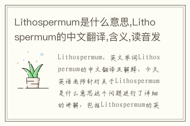 Lithospermum是什么意思,Lithospermum的中文翻译,含义,读音发音,用法,造句,参考例句