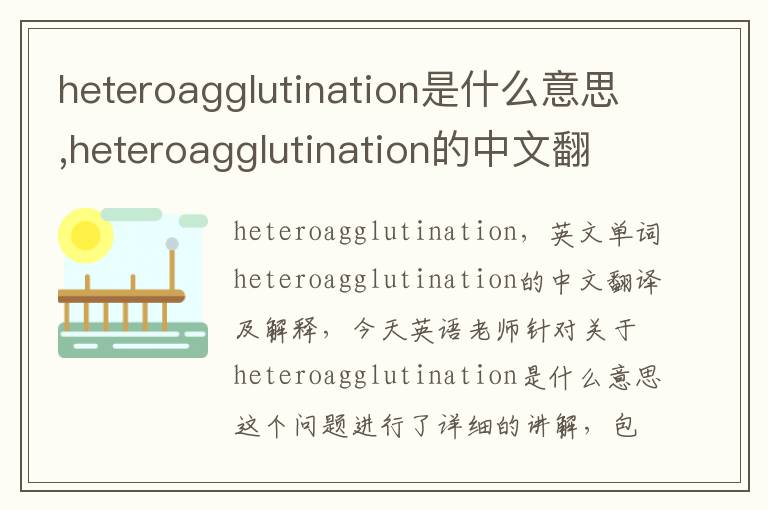 heteroagglutination是什么意思,heteroagglutination的中文翻译,含义,读音发音,用法,造句,参考例句