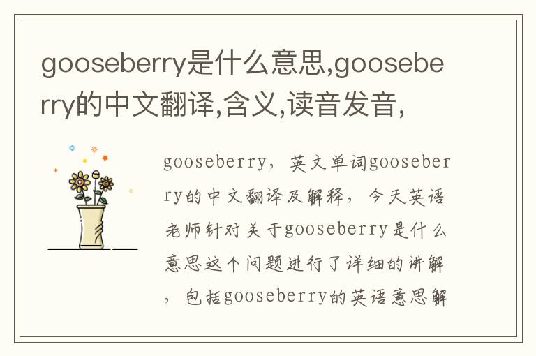 gooseberry是什么意思,gooseberry的中文翻译,含义,读音发音,用法,造句,参考例句