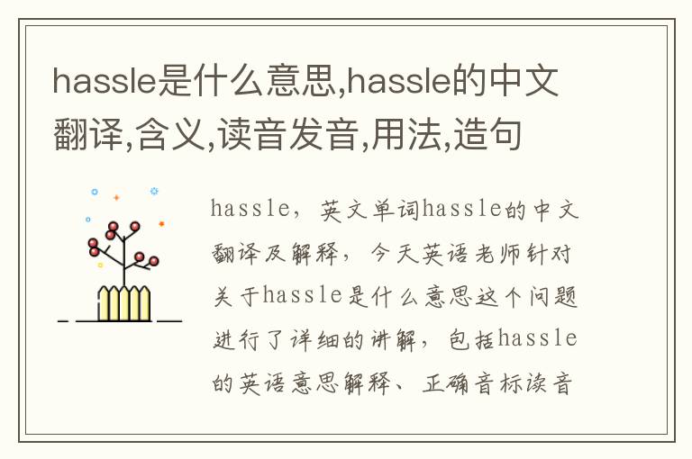 hassle是什么意思,hassle的中文翻译,含义,读音发音,用法,造句,参考例句