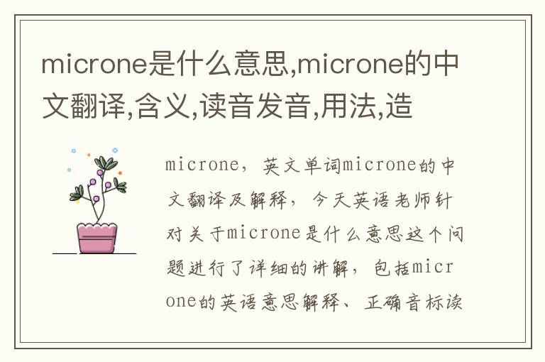 microne是什么意思,microne的中文翻译,含义,读音发音,用法,造句,参考例句